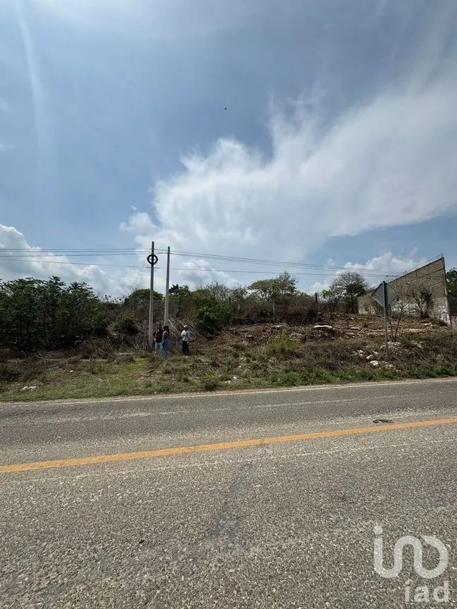 Terreno en Renta en Vista Hermosa, Berriozábal, Chiapas | NEX-269740 | iad México | Foto 3 de 7