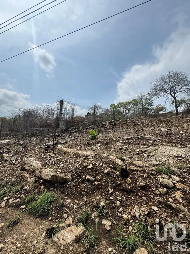 Terreno en Renta en Vista Hermosa, Berriozábal, Chiapas | NEX-269740 | iad México | Foto 6 de 7