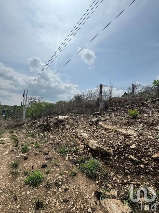 Terreno en Renta en Vista Hermosa, Berriozábal, Chiapas | NEX-269740 | iad México | Foto 1 de 7