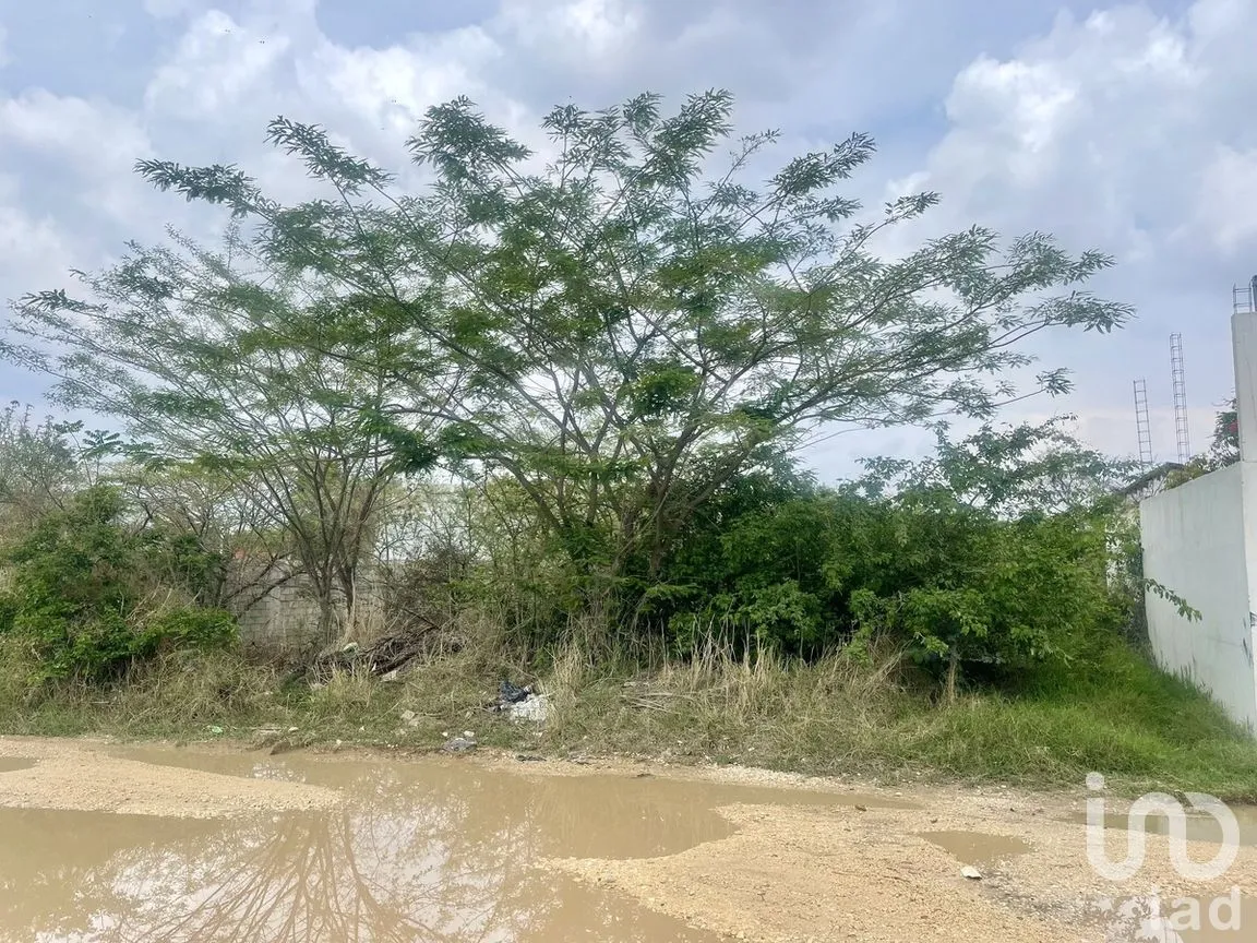 Terreno en Venta en Berriozabal Centro, Berriozábal, Chiapas | NEX-269802 | iad México | Foto 1 de 4