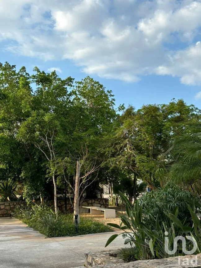 Terreno en Venta en Yucatán Country Club, Mérida, Yucatán | NEX-229538 | iad México | Foto 5 de 9