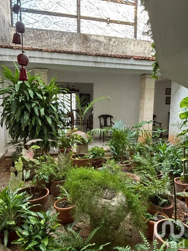 Casa en Renta en México, Mérida, Yucatán | NEX-280876 | iad México | Foto 12 de 25