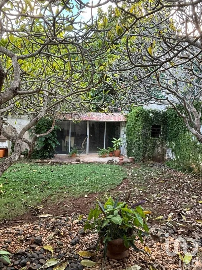 Casa en Renta en México, Mérida, Yucatán | NEX-280876 | iad México | Foto 18 de 25