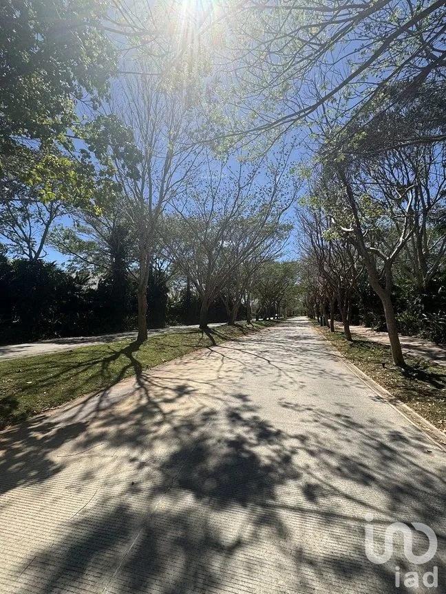 Terreno en Venta en Cabo Norte, Mérida, Yucatán | NEX-292922 | iad México | Foto 7 de 19