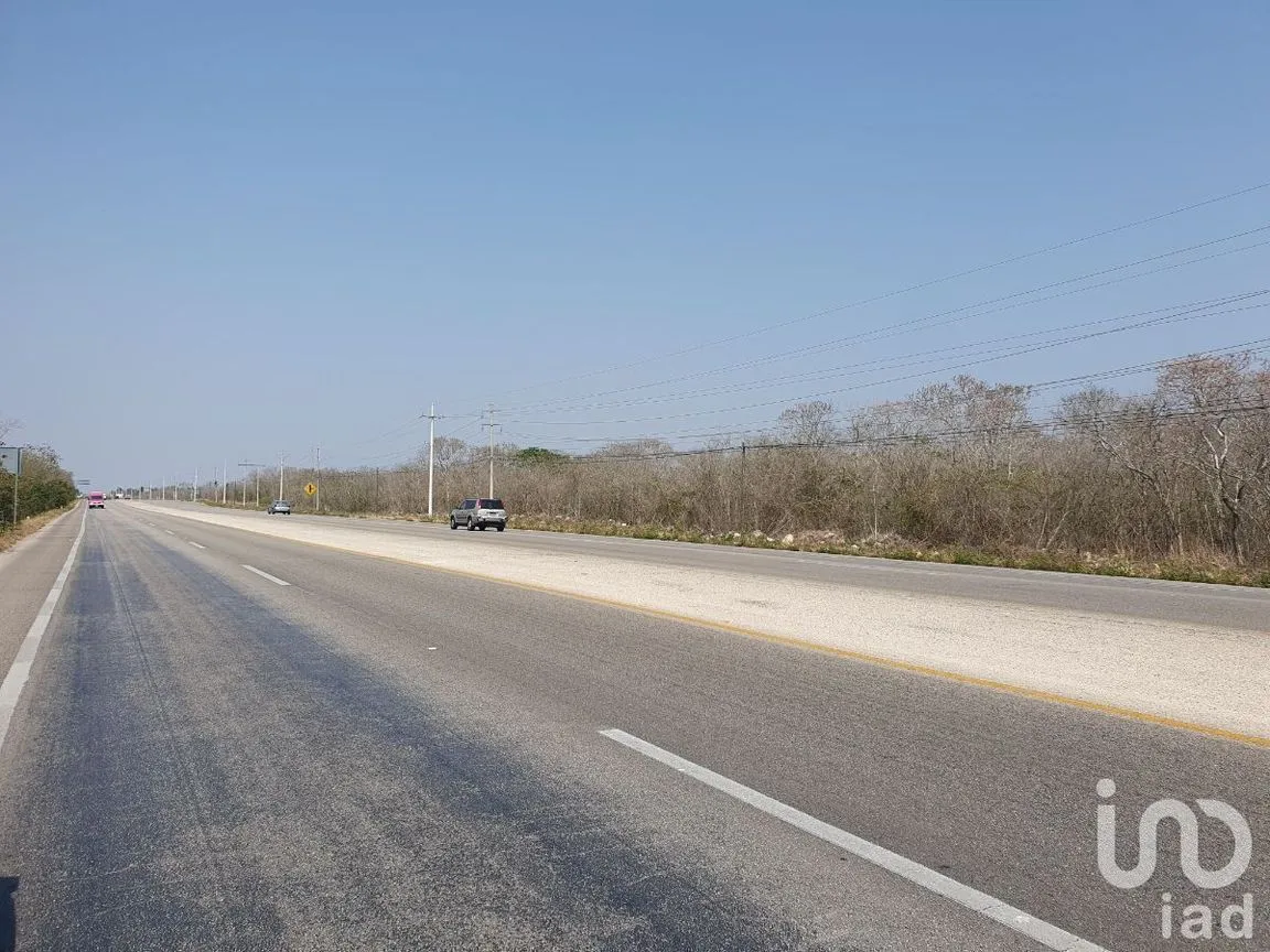 Terreno en Venta en Edesio Carrillo, Motul, Yucatán | NEX-229940 | iad México | Foto 2 de 5