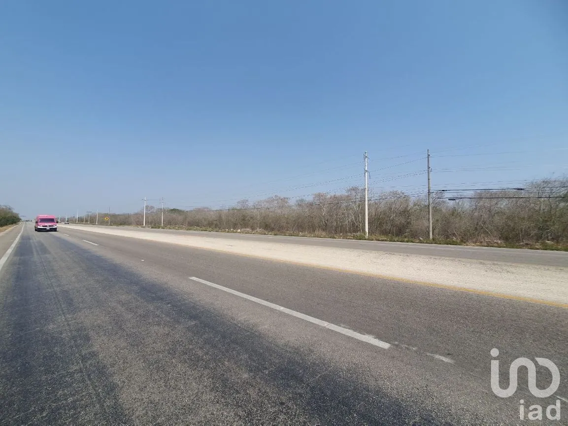 Terreno en Venta en Edesio Carrillo, Motul, Yucatán | NEX-229942 | iad México | Foto 2 de 5