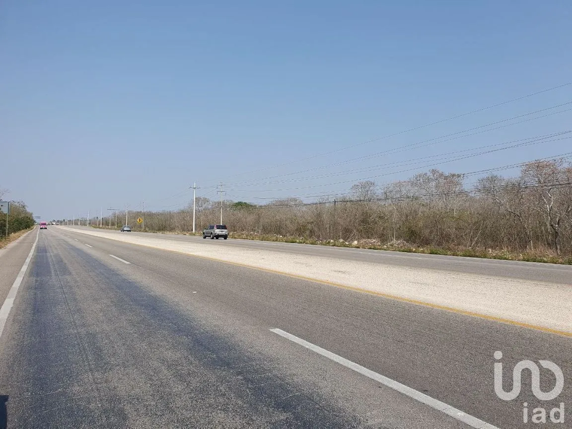 Terreno en Venta en Edesio Carrillo, Motul, Yucatán | NEX-229942 | iad México | Foto 5 de 5