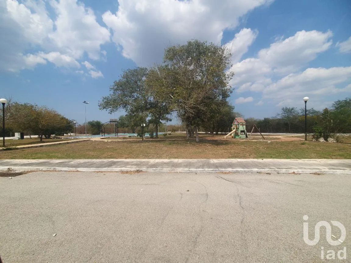 Terreno en Venta en Cosgaya, Mérida, Yucatán | NEX-229943 | iad México | Foto 7 de 13