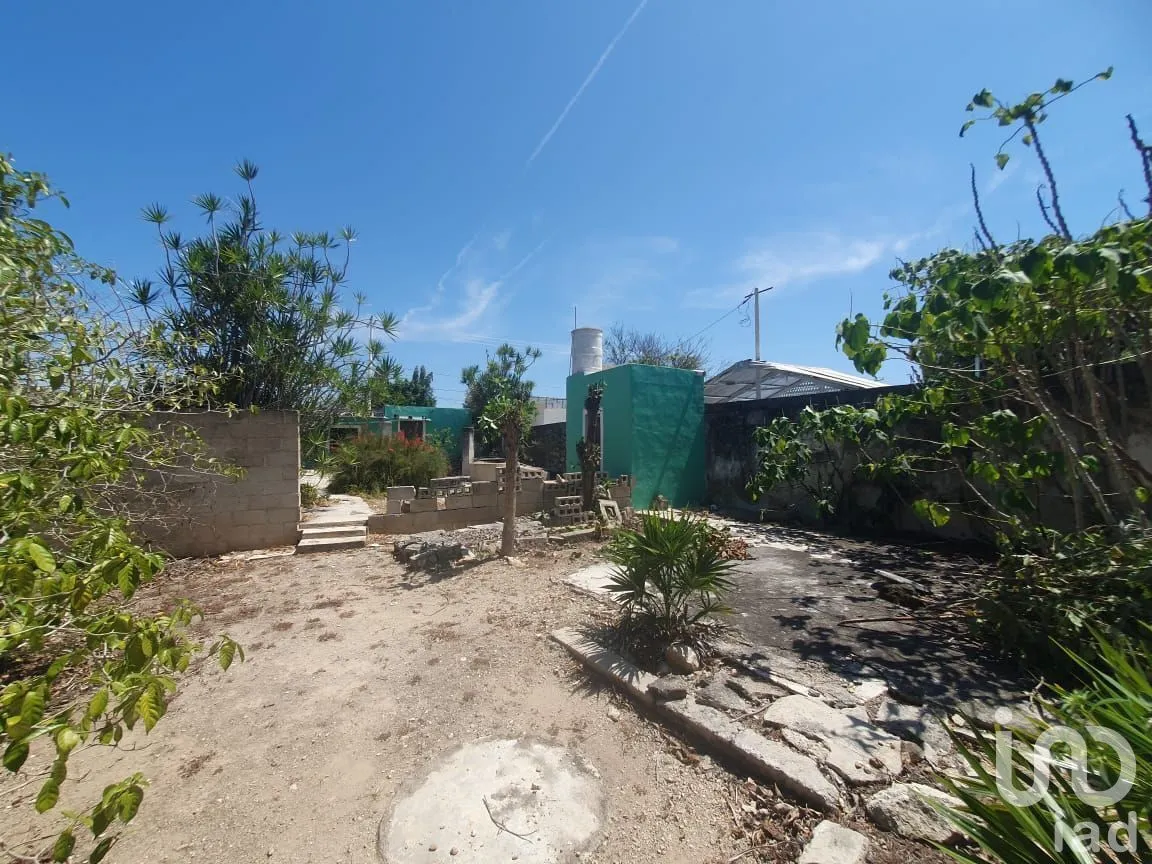 Local en Venta en Cortes Sarmiento, Mérida, Yucatán | NEX-229952 | iad México | Foto 9 de 13
