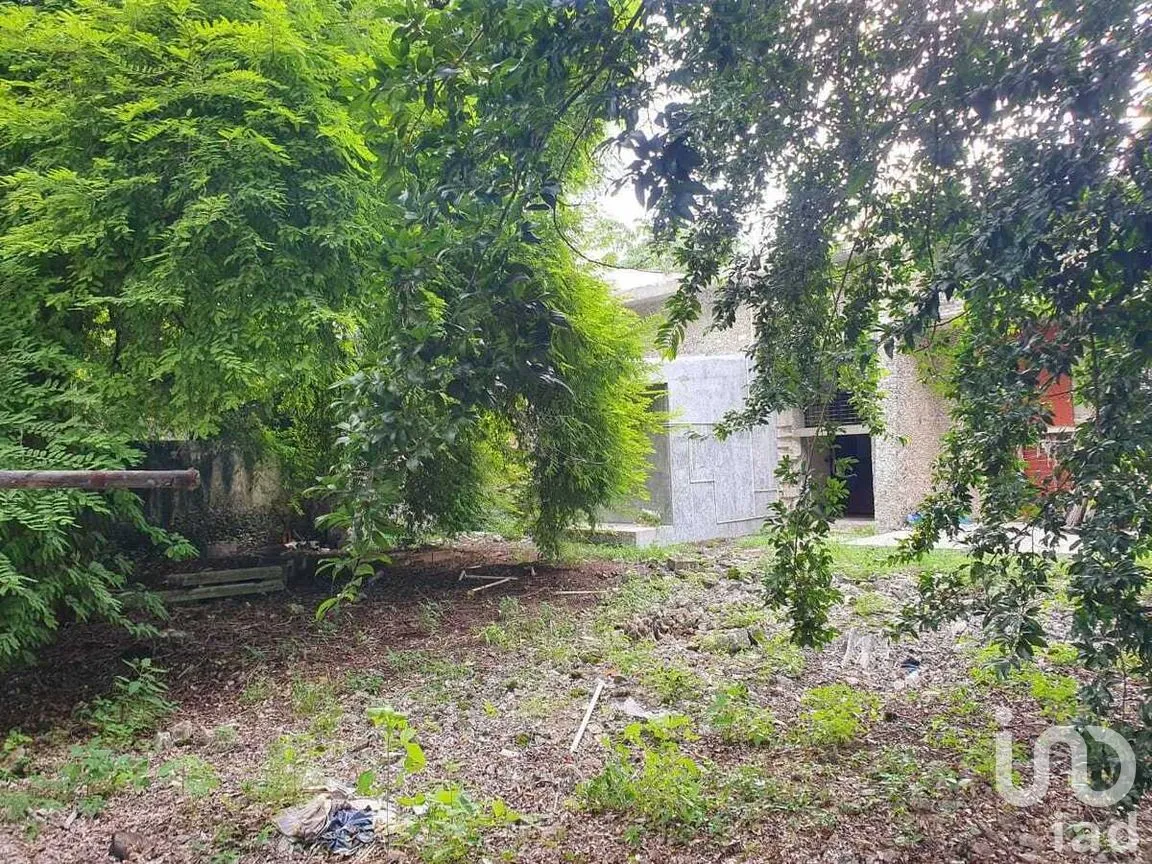 Local en Renta en Mérida Centro, Mérida, Yucatán | NEX-281817 | iad México | Foto 13 de 17