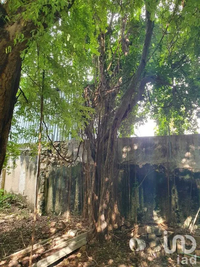 Local en Renta en Mérida Centro, Mérida, Yucatán | NEX-281817 | iad México | Foto 14 de 17