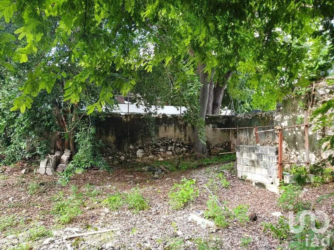 Local en Renta en Mérida Centro, Mérida, Yucatán | NEX-281817 | iad México | Foto 16 de 17
