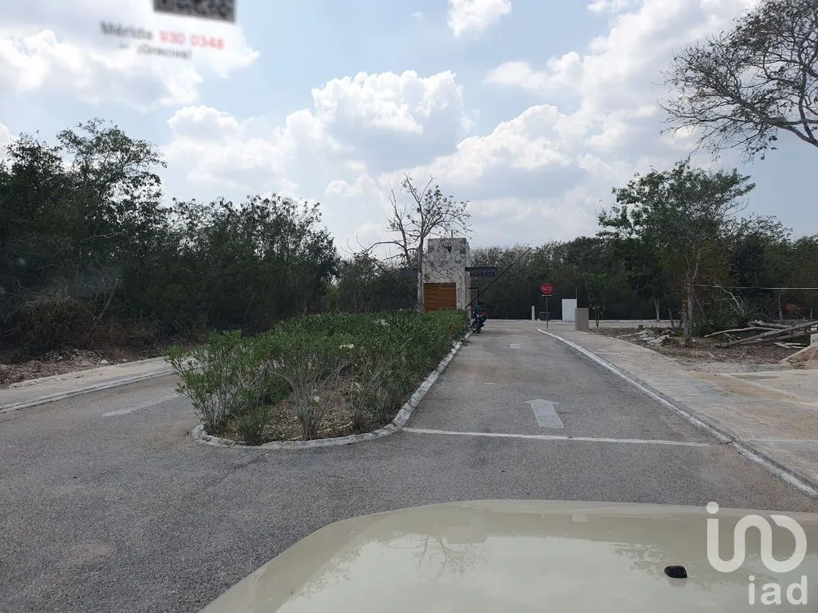 Terreno en Venta en Cosgaya, Mérida, Yucatán | NEX-281818 | iad México | Foto 13 de 13