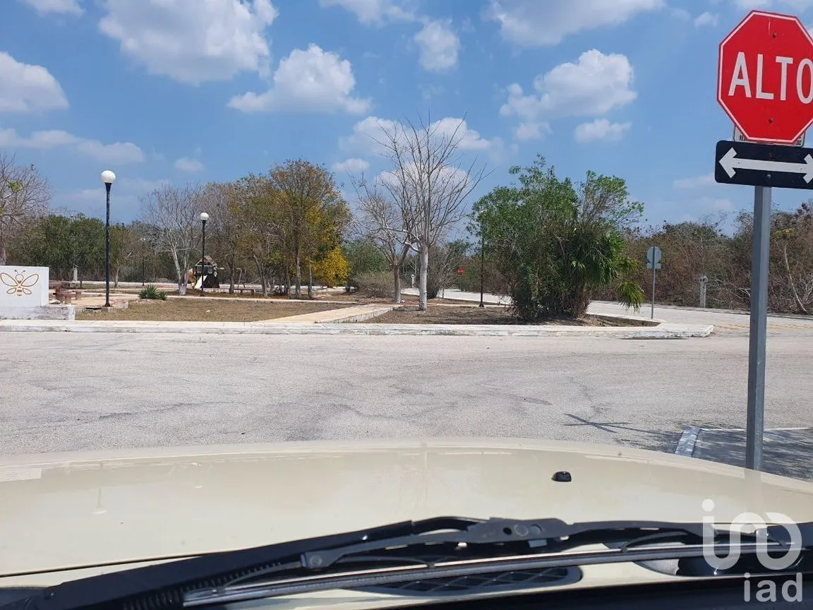 Terreno en Venta en Cosgaya, Mérida, Yucatán | NEX-281818 | iad México | Foto 3 de 13