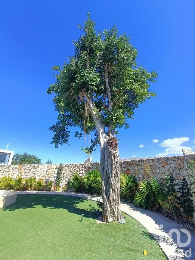 Terreno en Venta en Cholul, Mérida, Yucatán | NEX-288850 | iad México | Foto 12 de 18