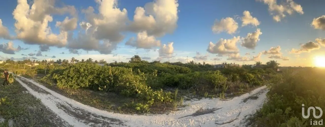 Terreno en Venta en Sisal, Hunucmá, Yucatán | NEX-227805 | iad México | Foto 5 de 8