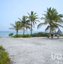 NEX-268470 - Terreno en Venta en Mahahual, CP 77976, Quintana Roo.