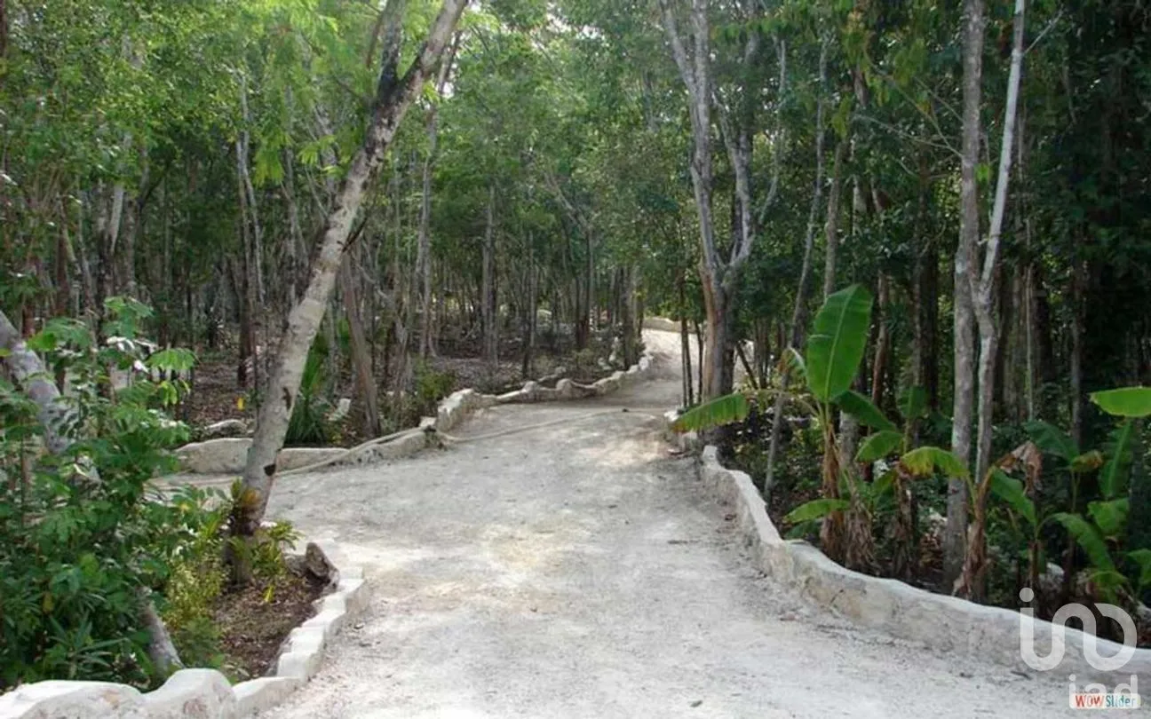 Terreno en Venta en Cancún Centro, Benito Juárez, Quintana Roo | NEX-268471 | iad México | Foto 3 de 14