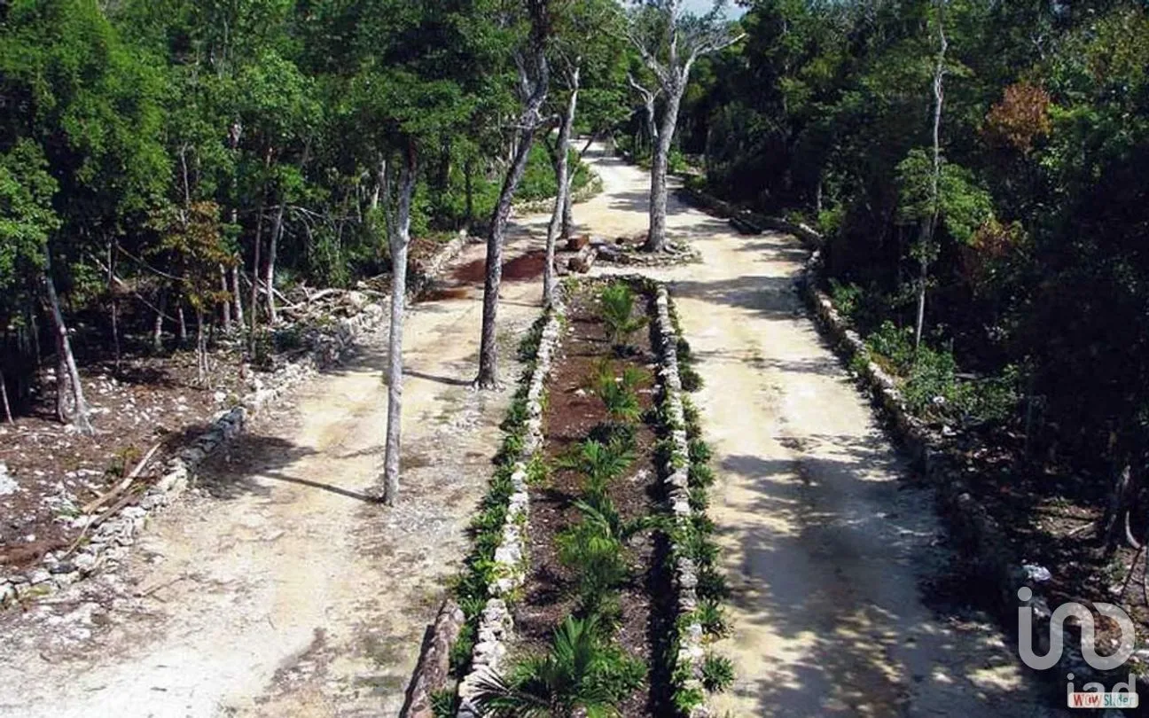 Terreno en Venta en Cancún Centro, Benito Juárez, Quintana Roo | NEX-268471 | iad México | Foto 9 de 14