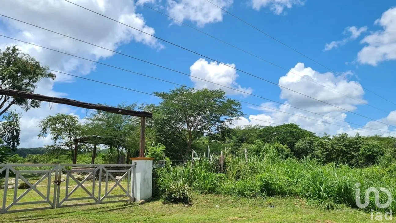 Terreno en Venta en Ticum, Tekax, Yucatán | NEX-268489 | iad México | Foto 3 de 12