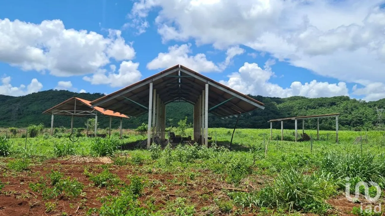Terreno en Venta en Ticum, Tekax, Yucatán | NEX-268489 | iad México | Foto 4 de 12