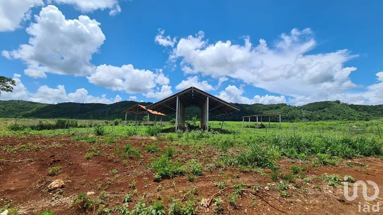 Terreno en Venta en Ticum, Tekax, Yucatán | NEX-268489 | iad México | Foto 6 de 12