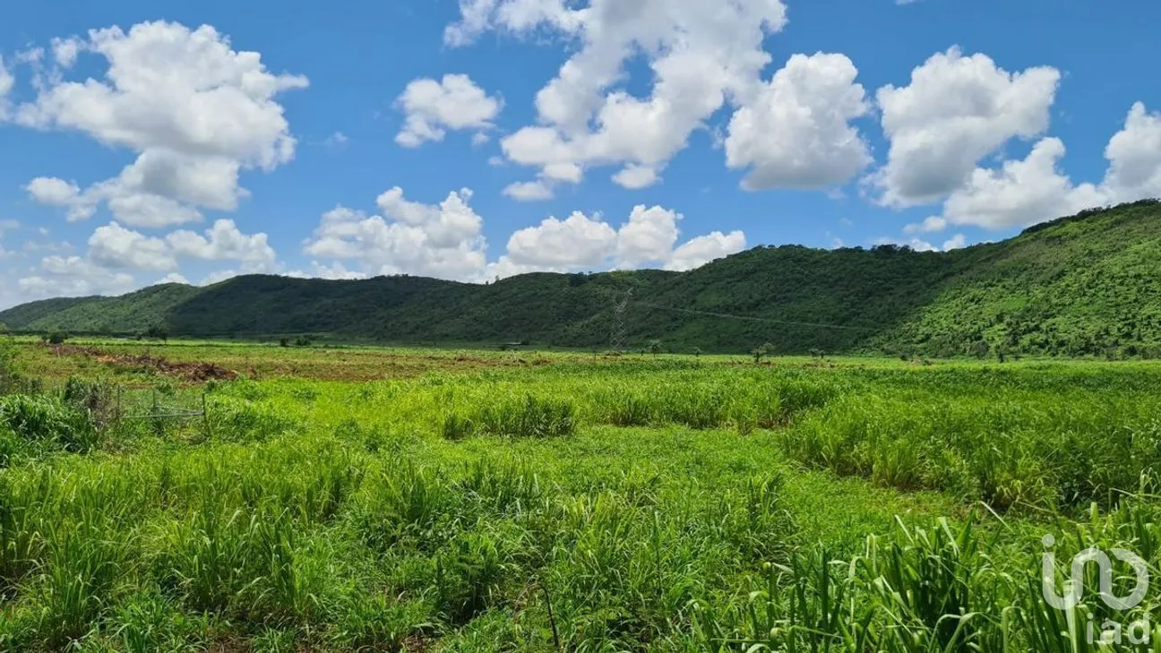 Terreno en Venta en Ticum, Tekax, Yucatán | NEX-268489 | iad México | Foto 8 de 12