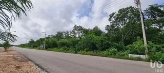 NEX-268495 - Terreno en Venta en Tixcacal Opichen, CP 97249, Yucatán.