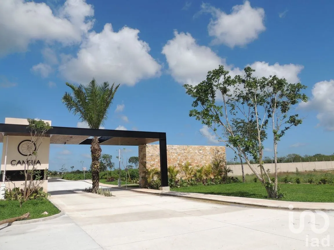 Terreno en Venta en Sitpach, Mérida, Yucatán | NEX-268497 | iad México | Foto 16 de 23