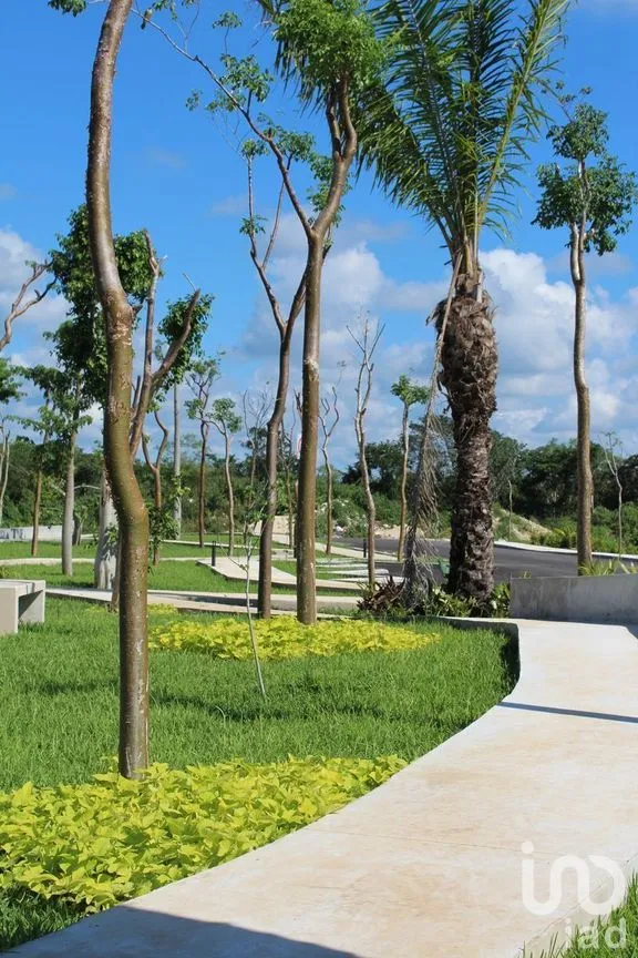 Terreno en Venta en Sitpach, Mérida, Yucatán | NEX-268497 | iad México | Foto 22 de 23