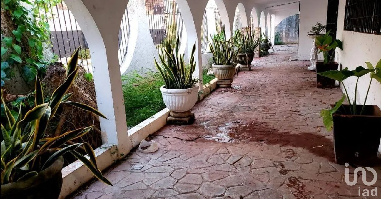 Casa en Venta en Pedregales de Tanlum, Mérida, Yucatán | NEX-268500 | iad México | Foto 4 de 5