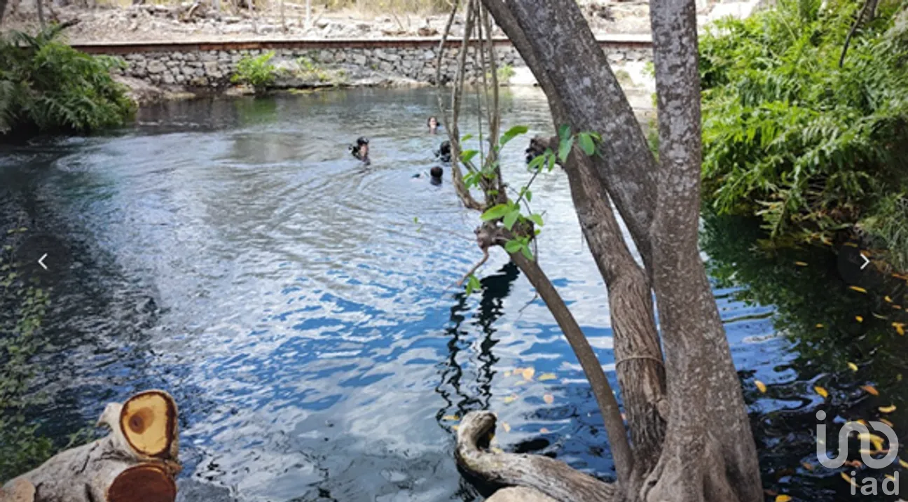 Terreno en Venta en Tetiz, Tetiz, Yucatán | NEX-268507 | iad México | Foto 10 de 14