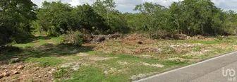 NEX-268507 - Terreno en Venta en Tetiz, CP 97364, Yucatán.