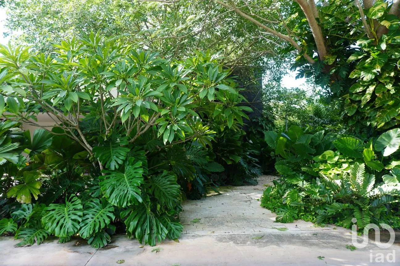 Casa en Venta en Yucatán Country Club, Mérida, Yucatán | NEX-272102 | iad México | Foto 4 de 31