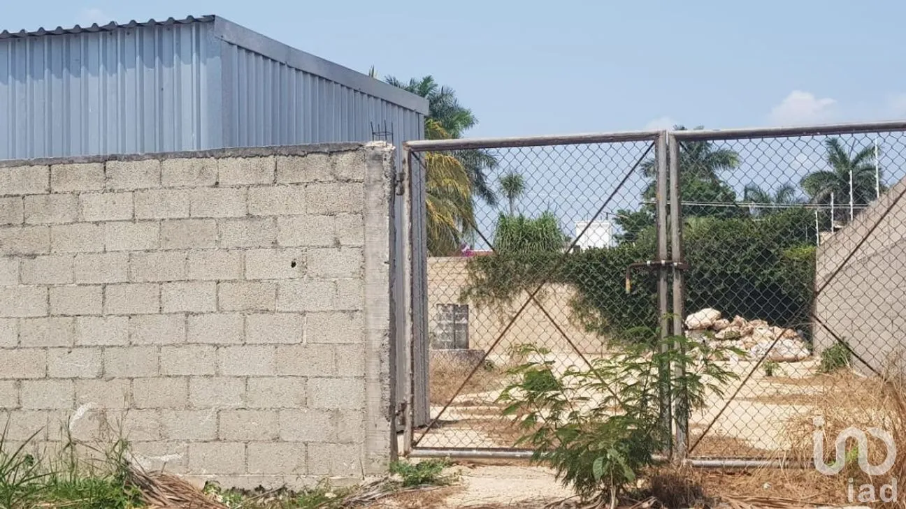 Terreno en Venta en San Ramon Norte, Mérida, Yucatán | NEX-277029 | iad México | Foto 3 de 6