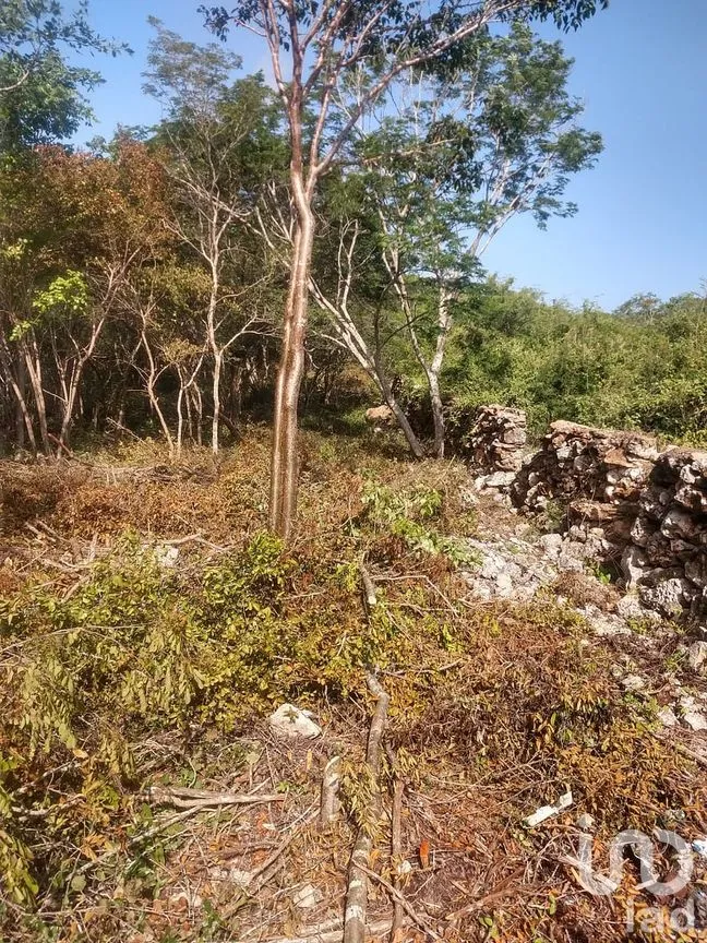 Terreno en Venta en Dzununcán, Mérida, Yucatán | NEX-280415 | iad México | Foto 2 de 24