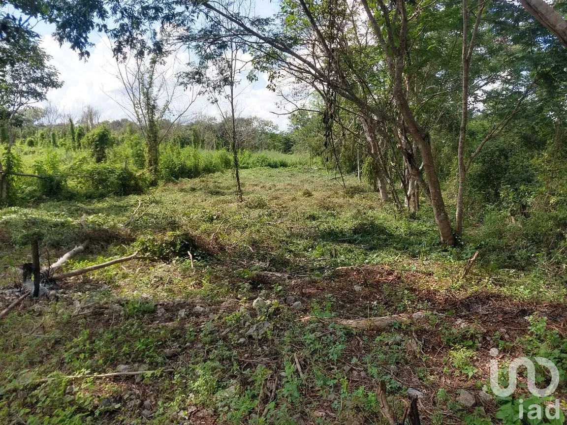 Terreno en Venta en Dzununcán, Mérida, Yucatán | NEX-280415 | iad México | Foto 14 de 24