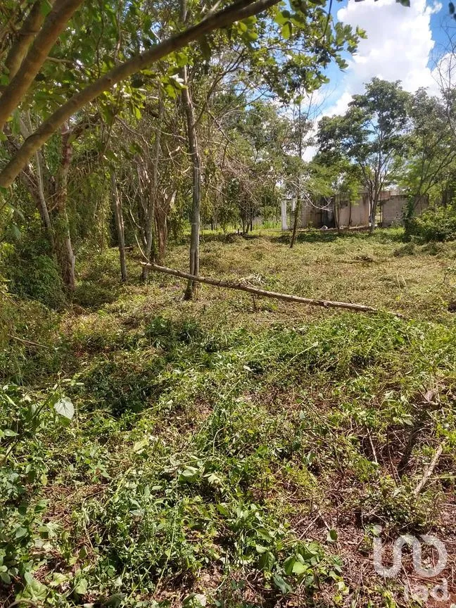 Terreno en Venta en Dzununcán, Mérida, Yucatán | NEX-280415 | iad México | Foto 15 de 24
