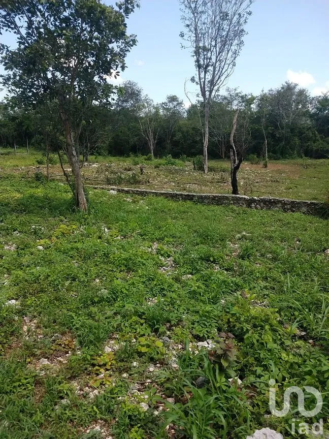 Terreno en Venta en Dzununcán, Mérida, Yucatán | NEX-280415 | iad México | Foto 3 de 24