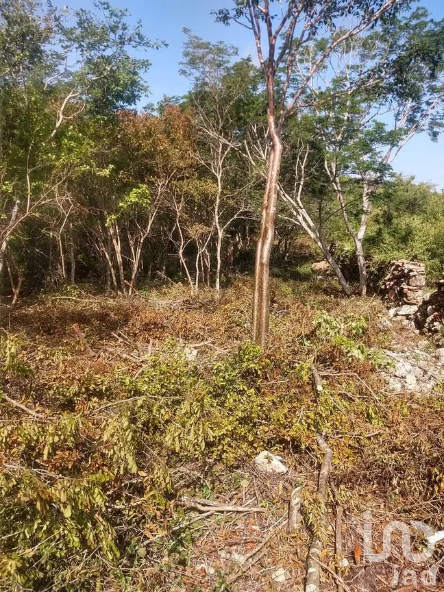 Terreno en Venta en Dzununcán, Mérida, Yucatán | NEX-280415 | iad México | Foto 4 de 24