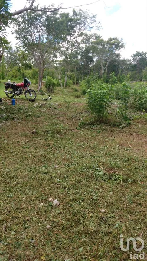 Terreno en Venta en Dzununcán, Mérida, Yucatán | NEX-280415 | iad México | Foto 6 de 24