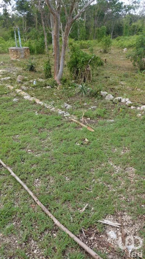 Terreno en Venta en Dzununcán, Mérida, Yucatán | NEX-280415 | iad México | Foto 7 de 24