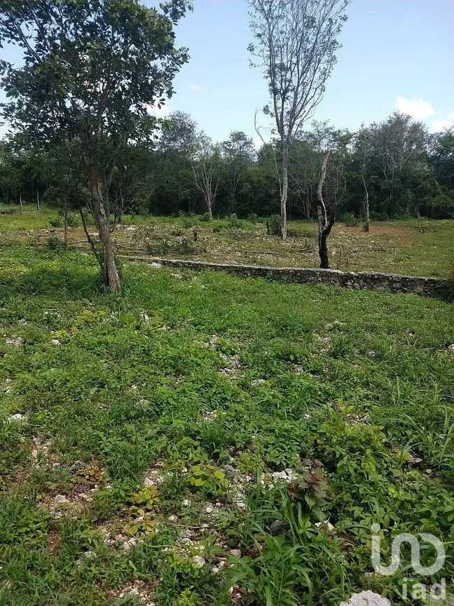 Terreno en Venta en Dzununcán, Mérida, Yucatán | NEX-284498 | iad México | Foto 2 de 24