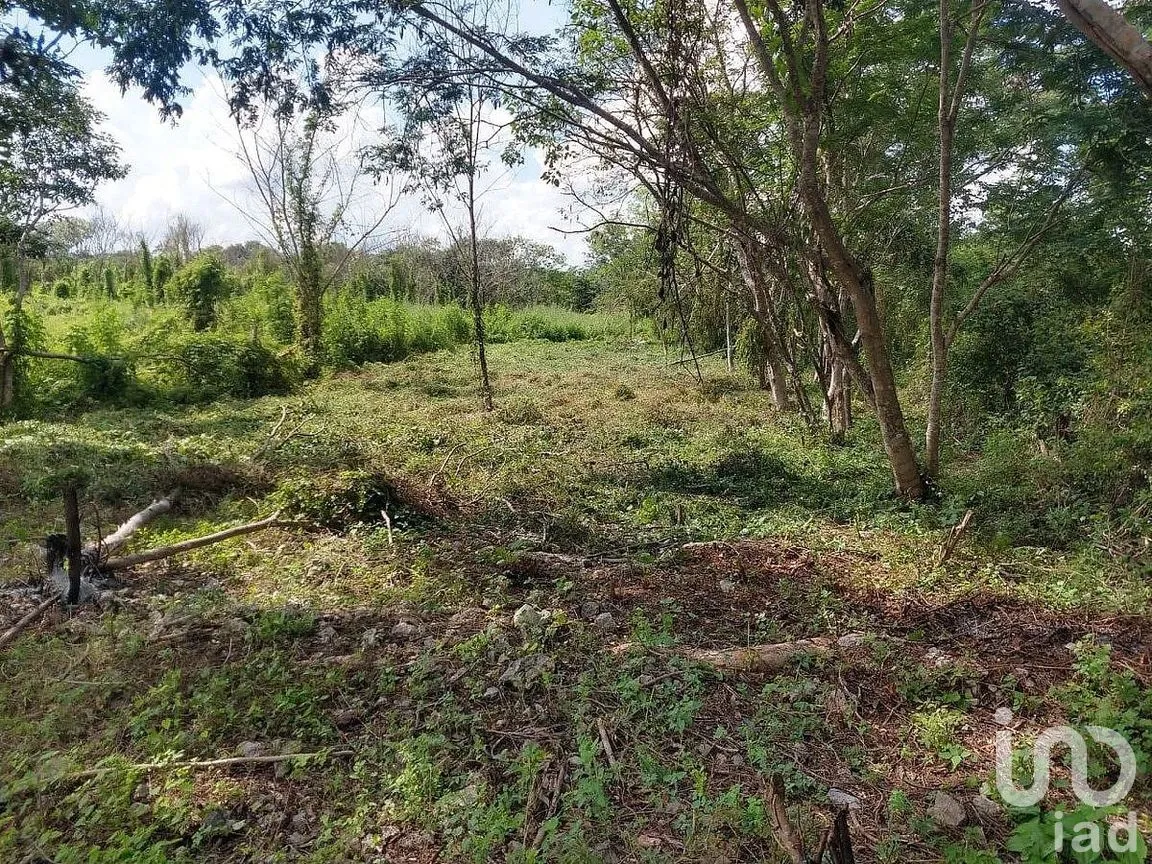 Terreno en Venta en Dzununcán, Mérida, Yucatán | NEX-284498 | iad México | Foto 14 de 24