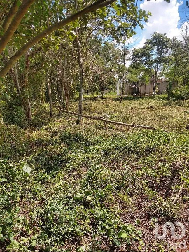 Terreno en Venta en Dzununcán, Mérida, Yucatán | NEX-284498 | iad México | Foto 15 de 24
