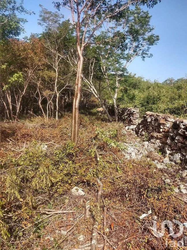 Terreno en Venta en Dzununcán, Mérida, Yucatán | NEX-284498 | iad México | Foto 4 de 24