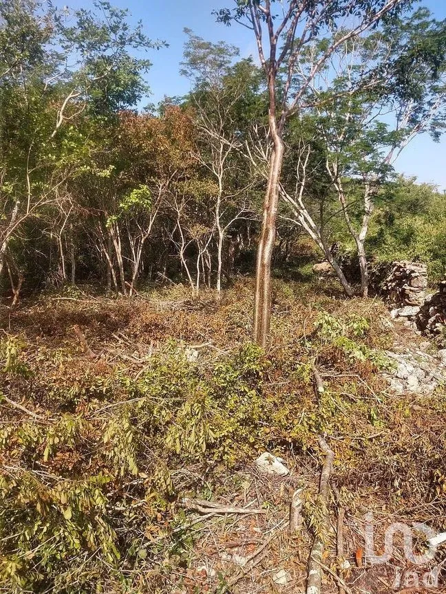 Terreno en Venta en Dzununcán, Mérida, Yucatán | NEX-284498 | iad México | Foto 5 de 24