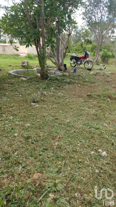 Terreno en Venta en Dzununcán, Mérida, Yucatán | NEX-284498 | iad México | Foto 6 de 24