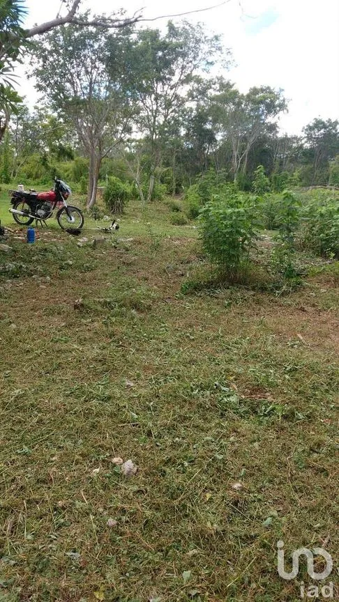 Terreno en Venta en Dzununcán, Mérida, Yucatán | NEX-284498 | iad México | Foto 7 de 24