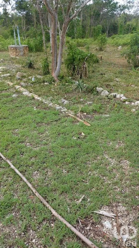 Terreno en Venta en Dzununcán, Mérida, Yucatán | NEX-284498 | iad México | Foto 9 de 24